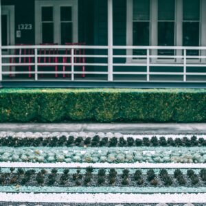A modern residential garden featuring neatly arranged succulent rows and a blue house facade.