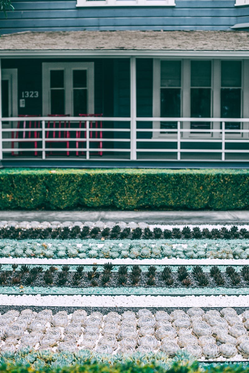 A modern residential garden featuring neatly arranged succulent rows and a blue house facade.