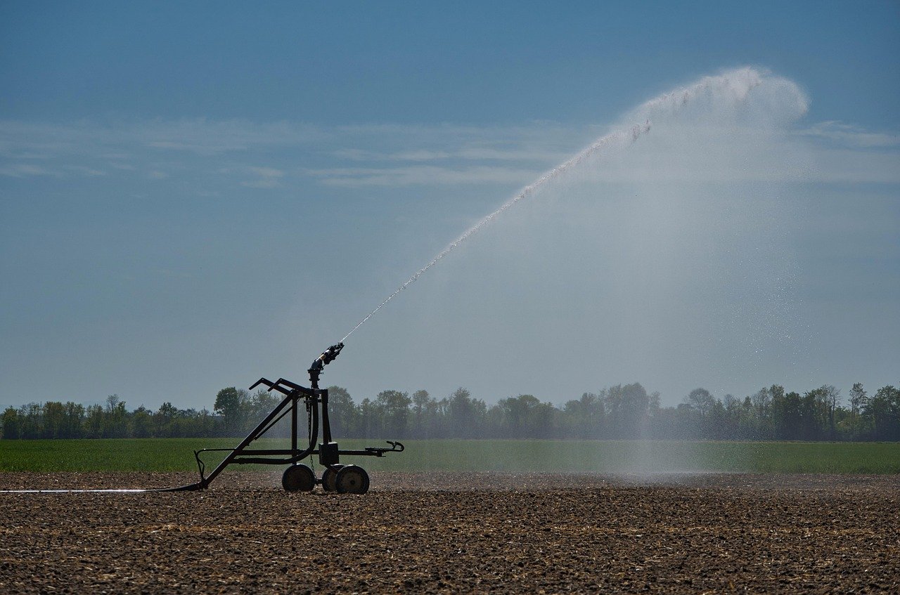 irrigation, agriculture, water, field, sprinkler, spring, nature, heaven, clouds, water jet, irrigation system, sprinkler system, no rain, dry, drought, dryness, sunny, warm, wet, weather, fields, agricultural economics, irrigation, irrigation, irrigation, irrigation, irrigation, irrigation system, drought