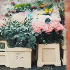 assorted-color flower arrangement in boxes