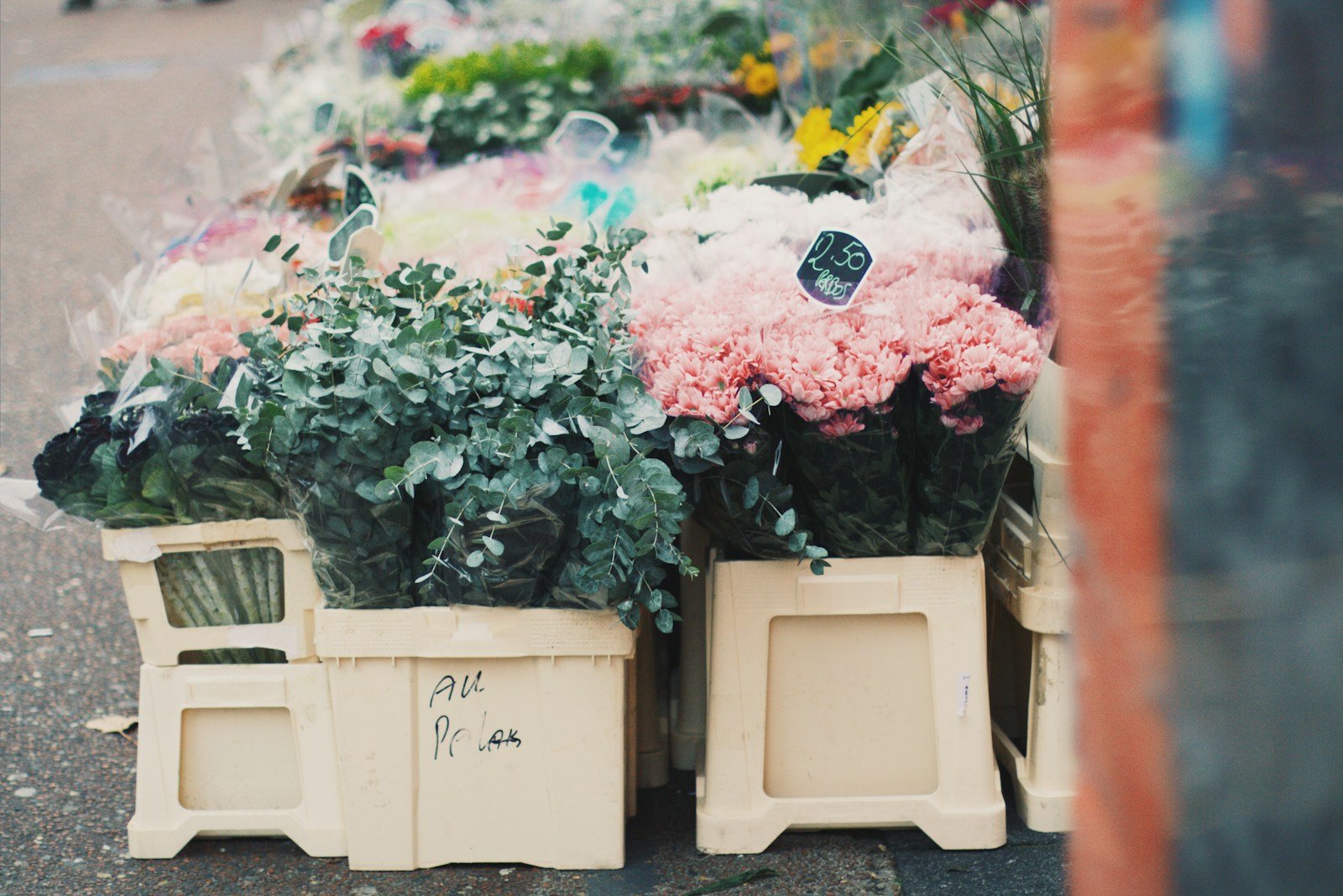 assorted-color flower arrangement in boxes