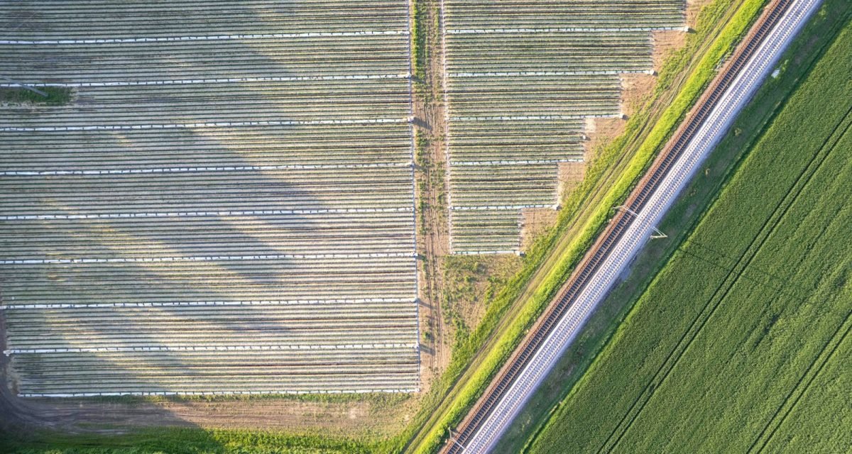 actividad agrícola Barcelona